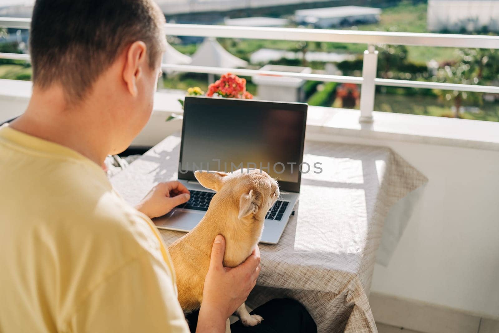IT freelancer men with puppy dog chihuahua typing in laptop working from home office. Programmers sitting on balcony doing code review. Distance learning online education and work by Ostanina