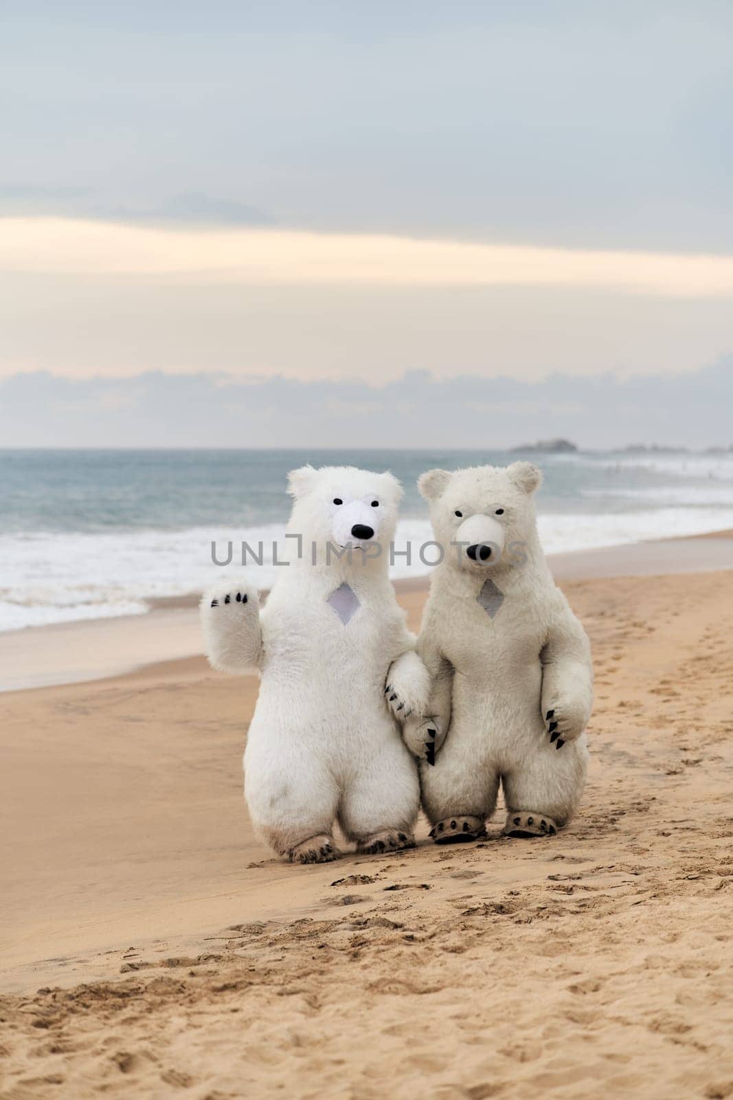 Animators dressed as polar bears entertain people on the beach by driver-s