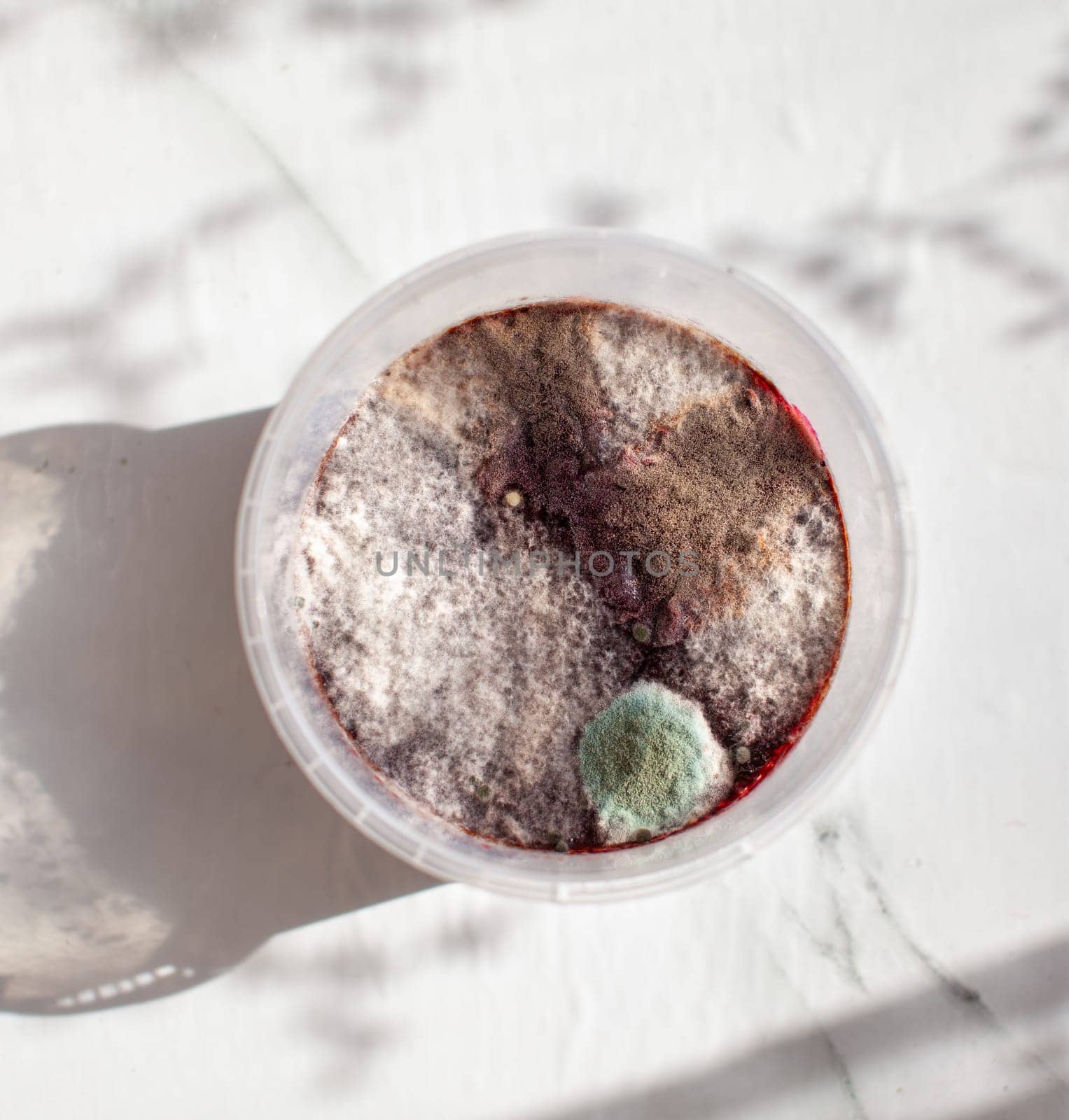 Mold in a jar of raspberry jam. Hazardous to health. by AnatoliiFoto