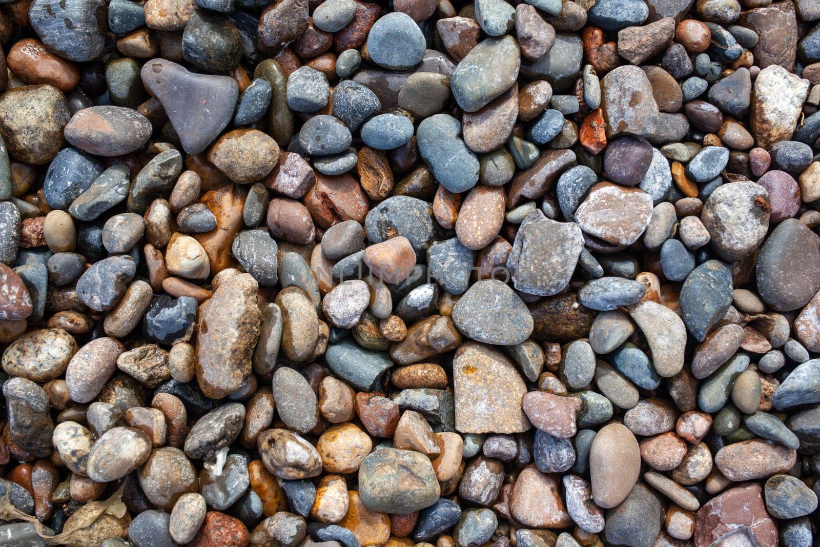 Background of small pebbles and stones on the seashore or in garden by AnatoliiFoto