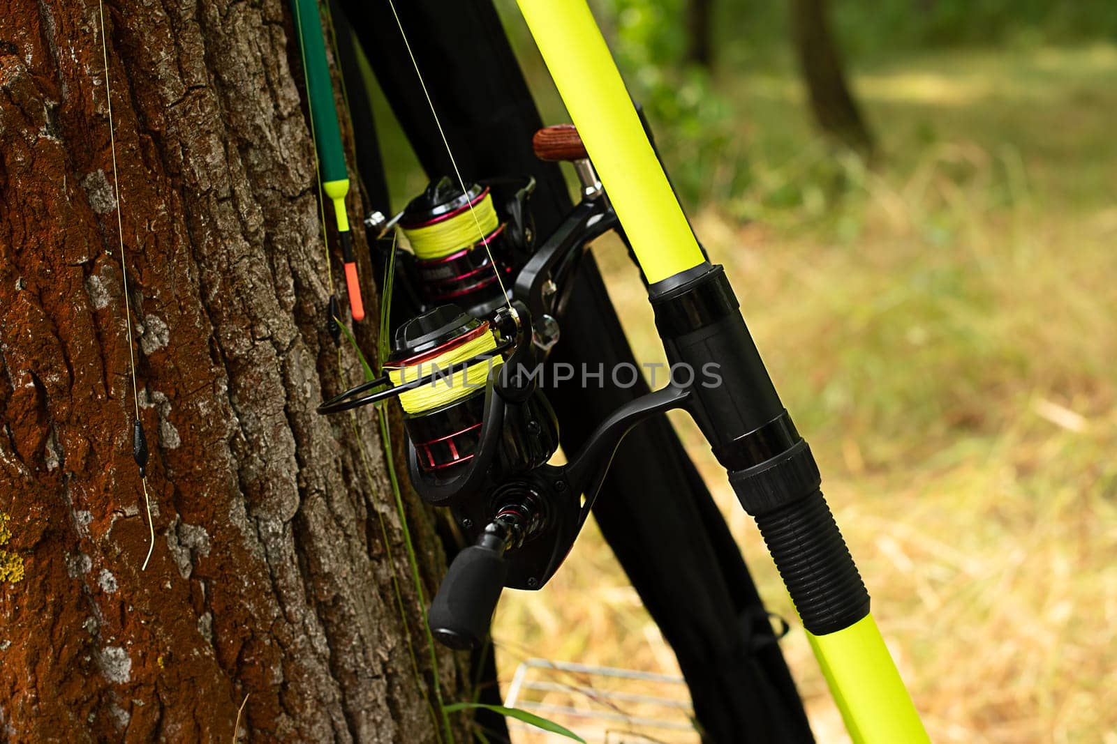 Fishing concept. Fishing rods with reels stand near a tree in the forest. Preparing for active fishing. Close-up.