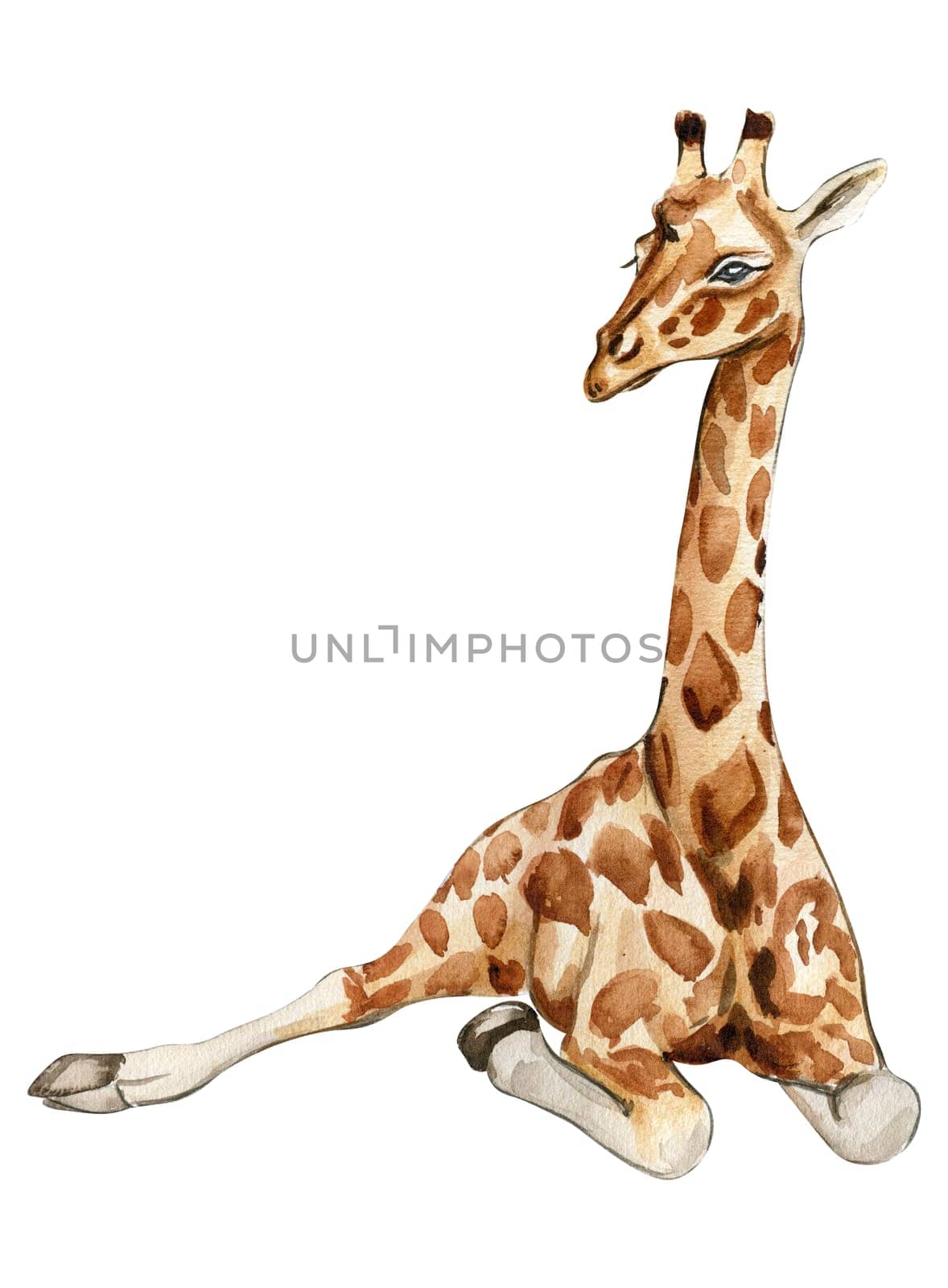 Watercolor giraffe illustration, Cartoon tropical animal , exotic summer jungle design.Hand drawn. Designf for baby shower party, birthday, cake, holiday celebration design, greetings card,invitation.