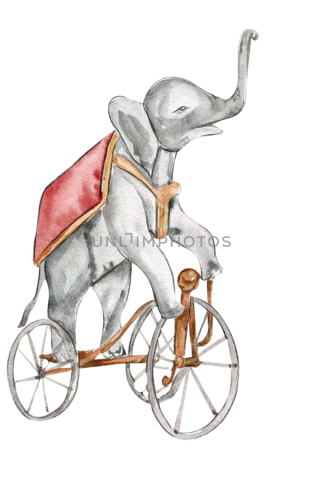 Watercolor hand drawn circus elephant on the bicycle vintage style. Perfect for wedding, invitations, blogs, card templates, birthday and baby cards, patterns, quotes. isolater on white background.