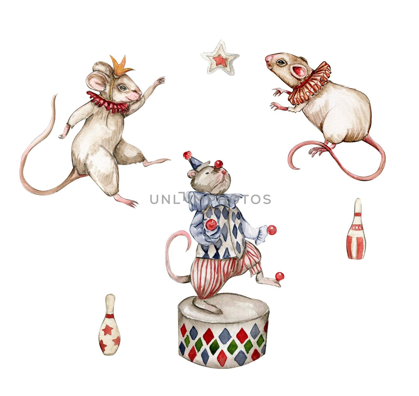 Watercolor circus set of elements in vintage style. Perfect for wedding, invitations, blogs,card templates, birthday and baby cards, patterns, quotes. isolater on white background.Cute circus animals.