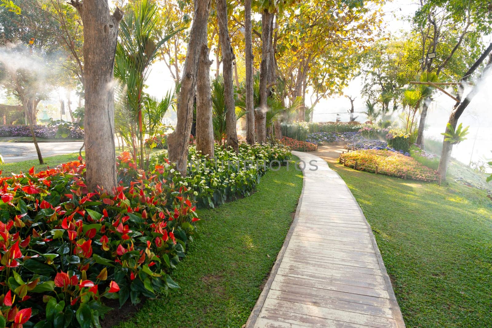 Walkway in Colorful flower in the Garden with sunlight.
