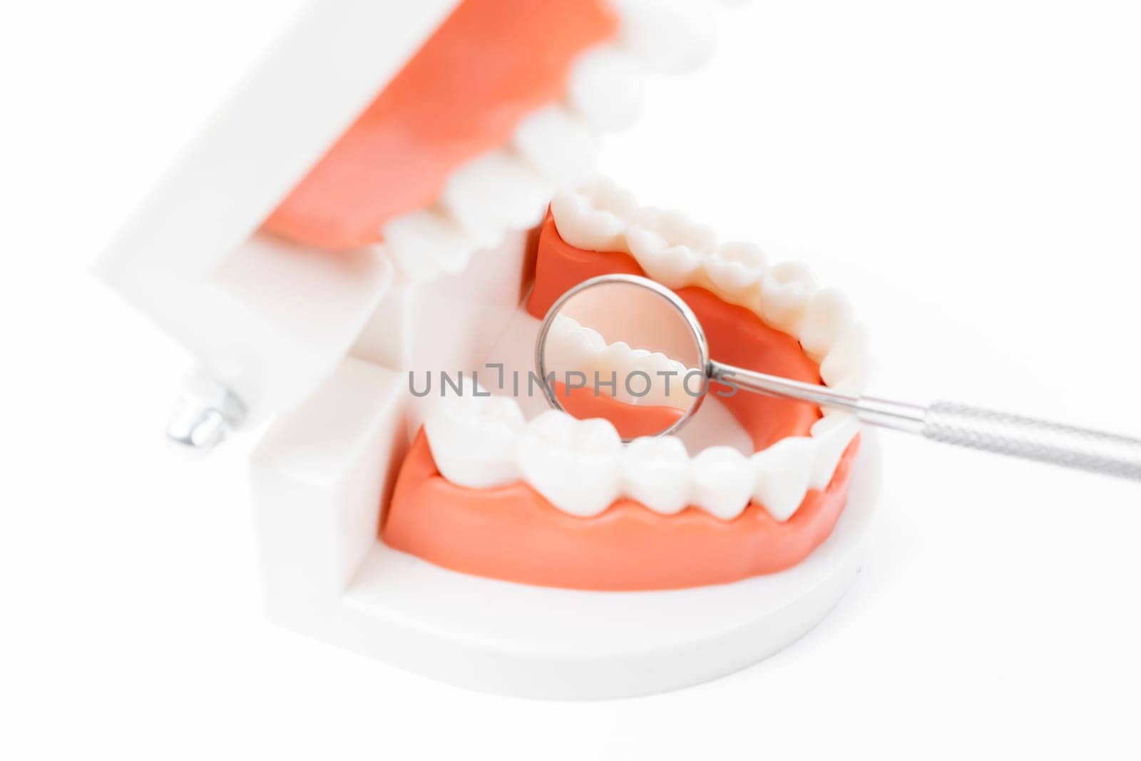 Teeth model with dental mirror on white background