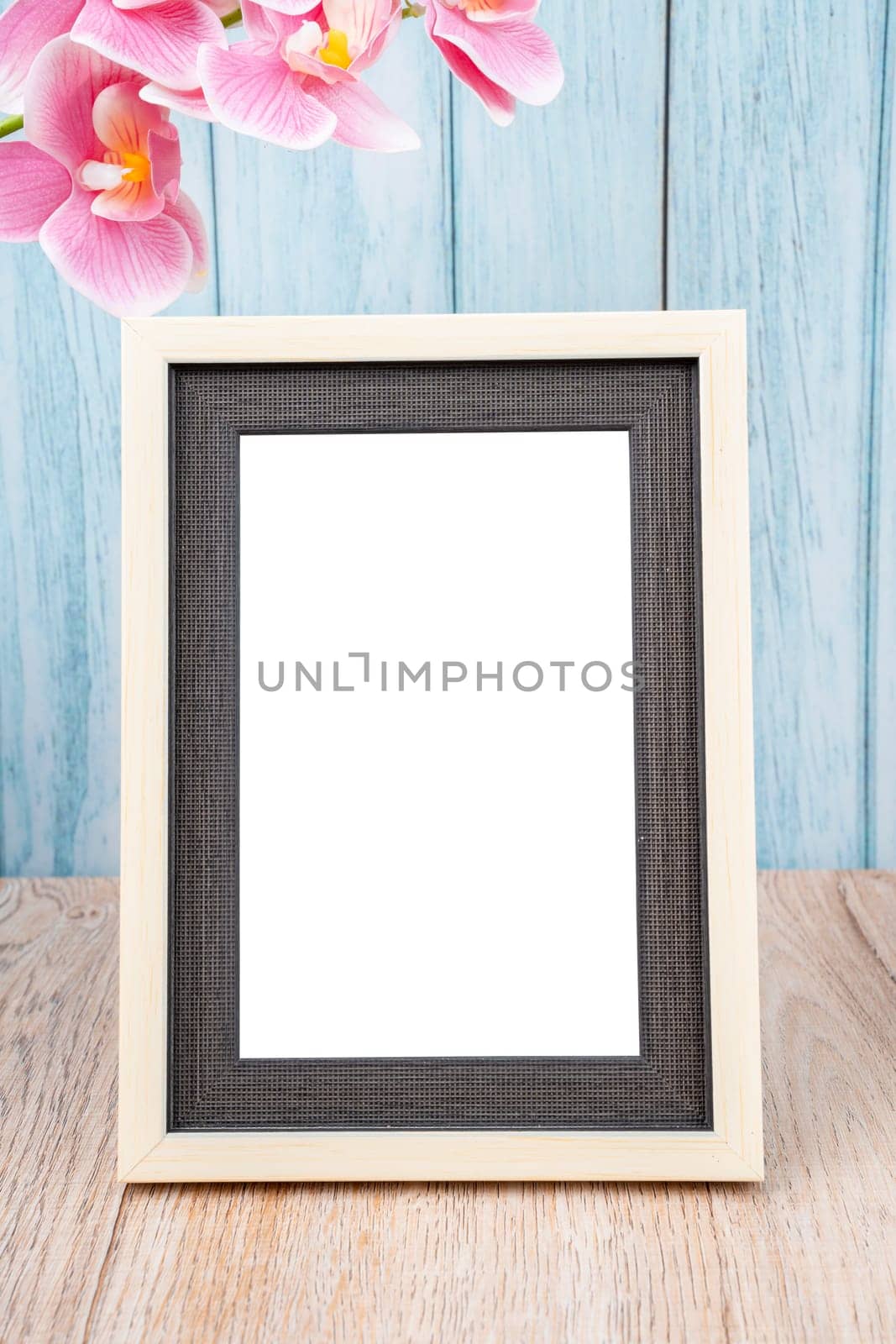 Blank picture frame and pink orchid on blue wall with copy space and clipping path for the inside.