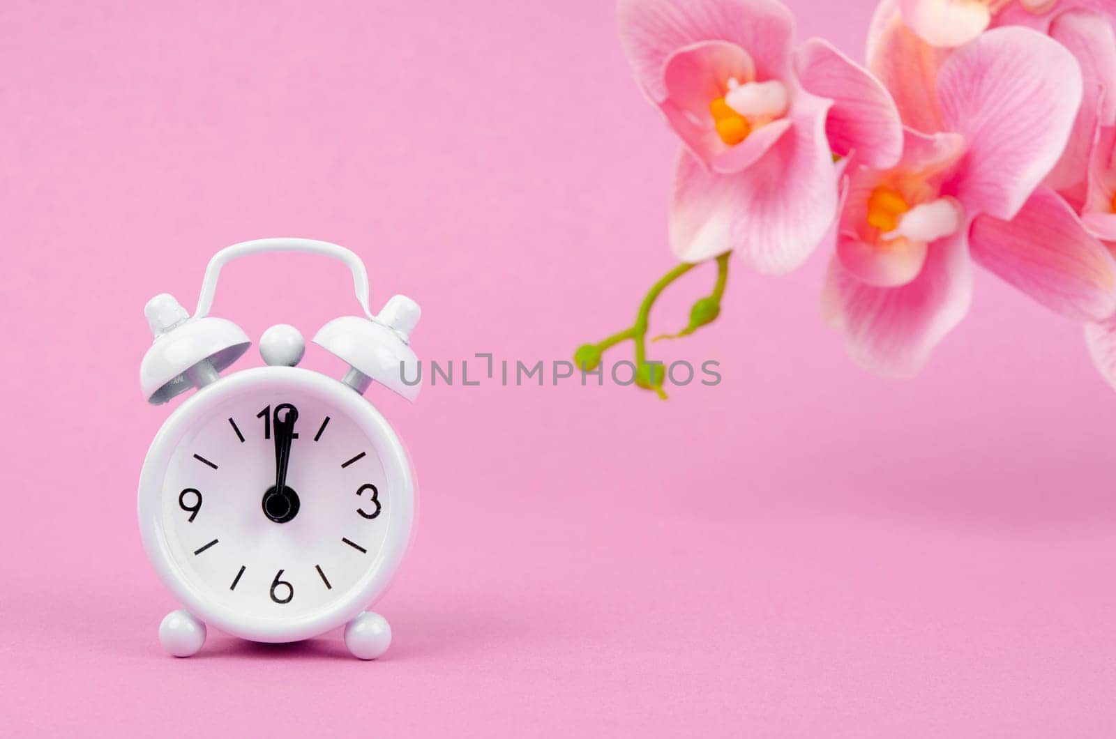 The White alarm clock and pink streaked orchid flower on sweet background. by Gamjai