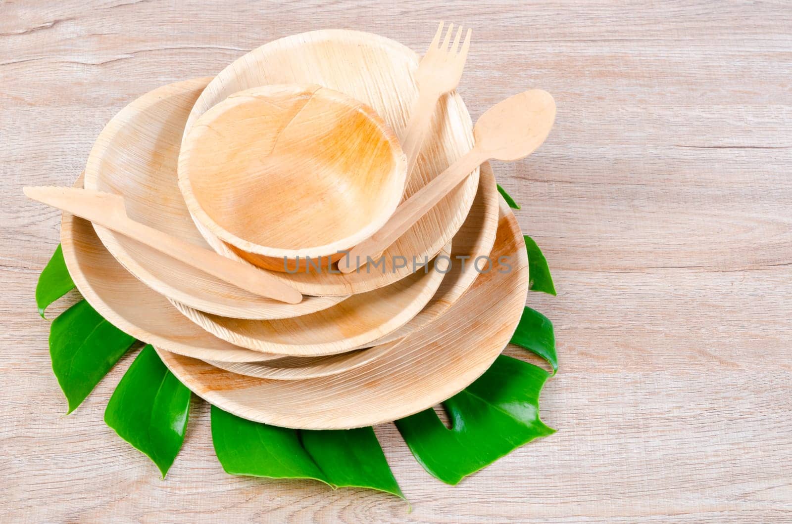 The Kitchenware made from dried betel nut leaf palm, natural material. The Green product eco friendly concept. by Gamjai