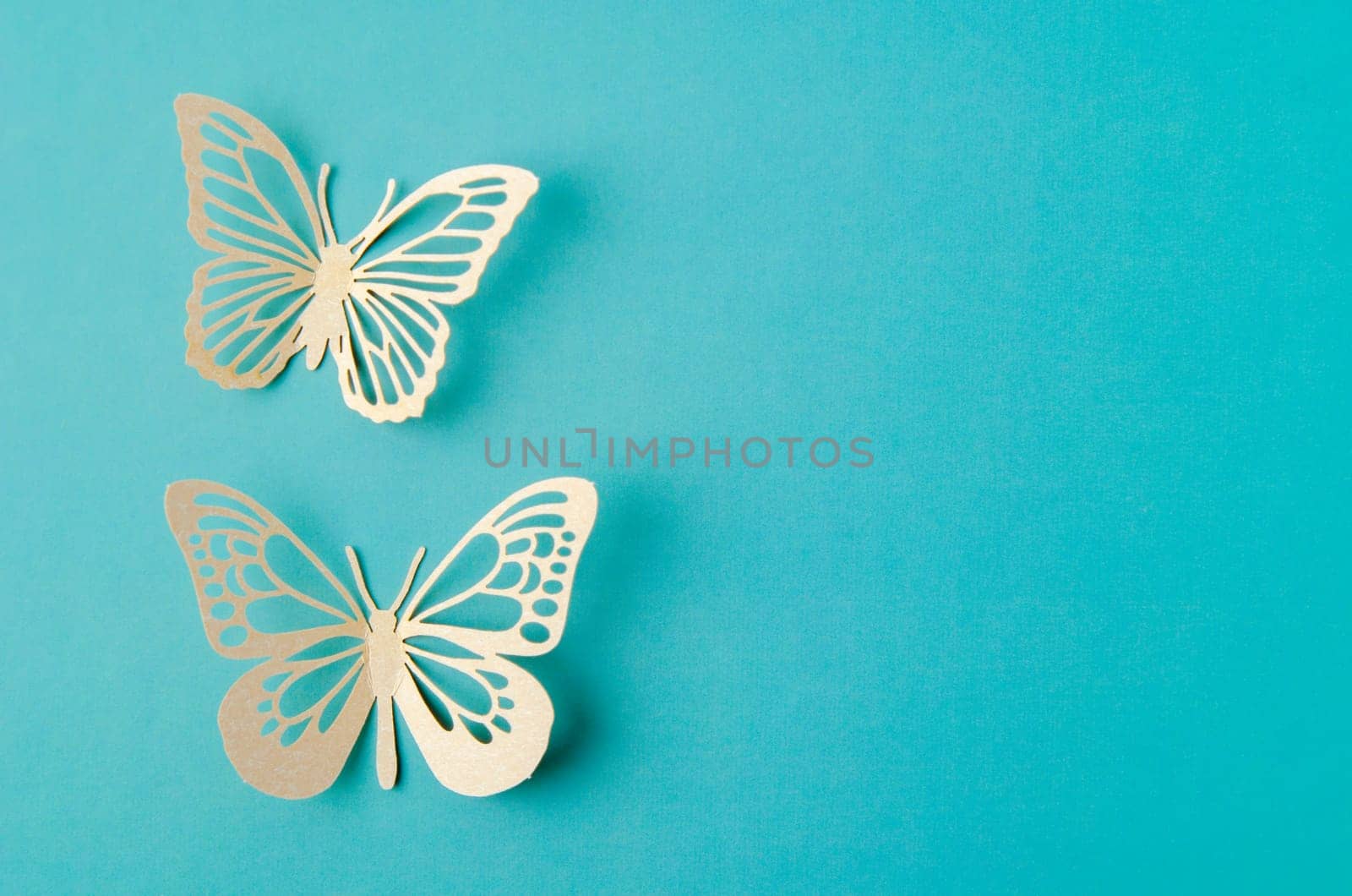 The Paper butterfly carve on a green background with empty space. by Gamjai
