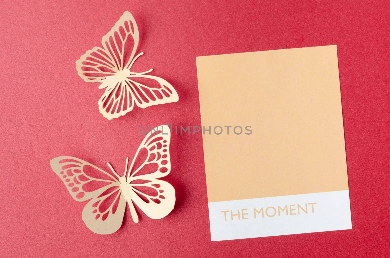 Blank reminder note and carve of paper butterfly on red background, space for text.