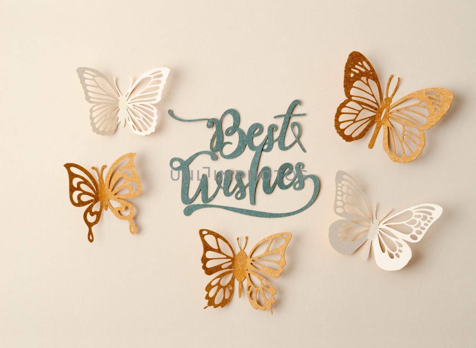 Bests Wishes text with butterfly paper carve on pastel background.