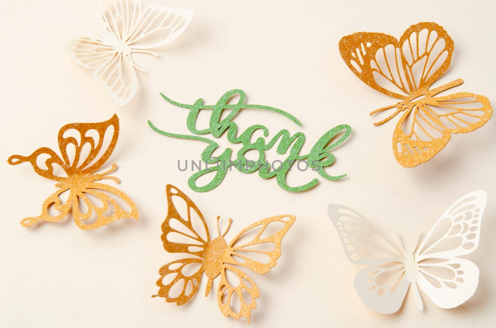 Thank you text with butterfly paper carve on pastel background.