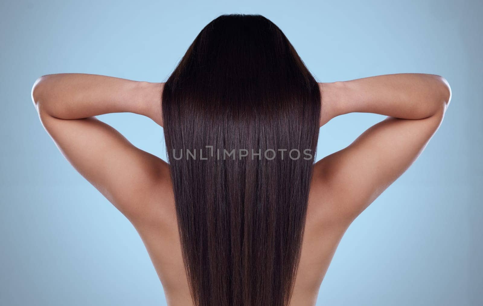 Beauty, hair and back of woman in studio for haircare, cosmetics or salon products on blue background. Girl, model and touch healthy, natural and glowing texture on head or cosmetic extensions.