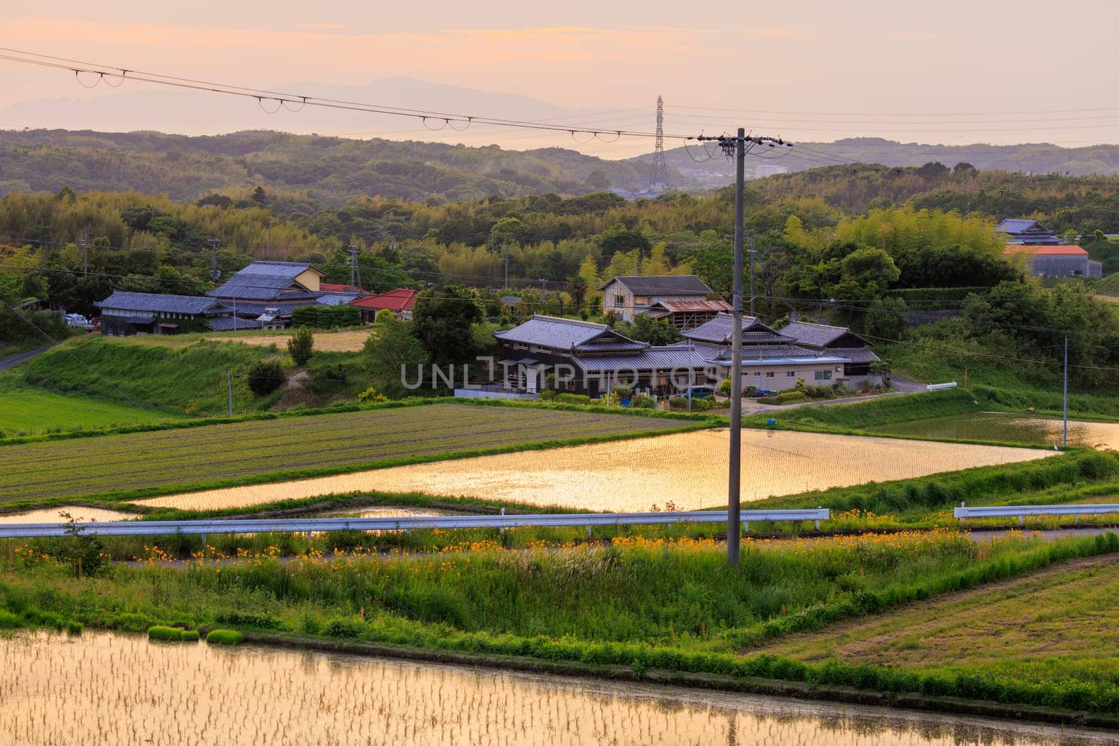 Golden hour light on flooded rice fields by large house in rural village. High quality photo