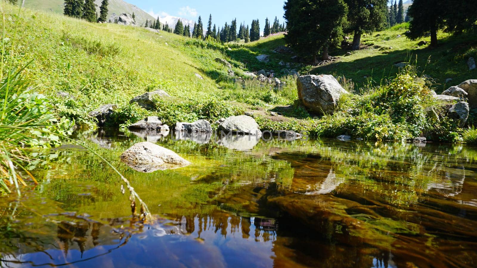 Mountain clear water of stream and green fields. by Passcal