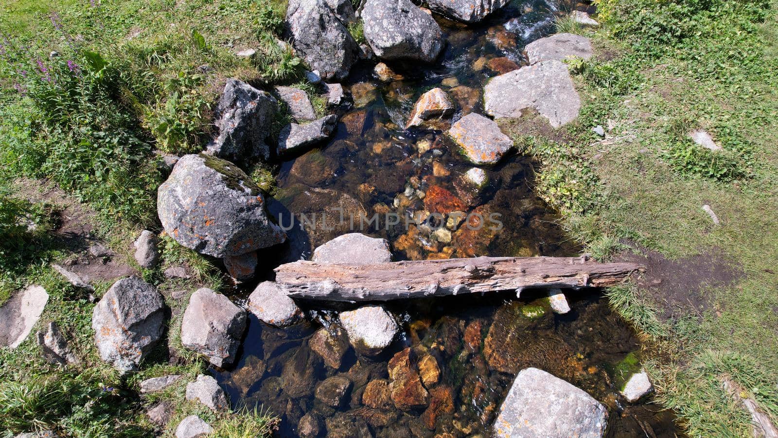 A small pond and a stream in a mountain forest. by Passcal