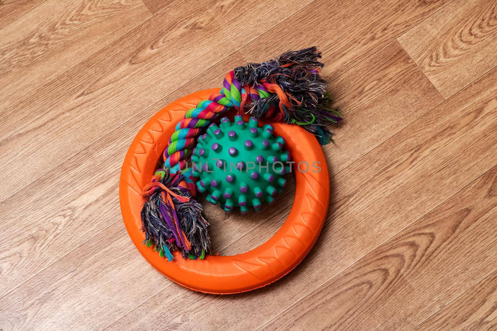 Toys for dogs on a wooden background, copy space
