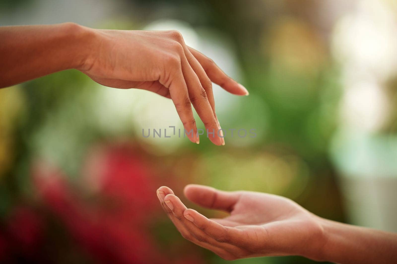 Hands, love and people with a reaching gesture in an outdoor green garden or park in nature. Connection, romantic and closeup zoom of a couple for support, romance or touch together outside
