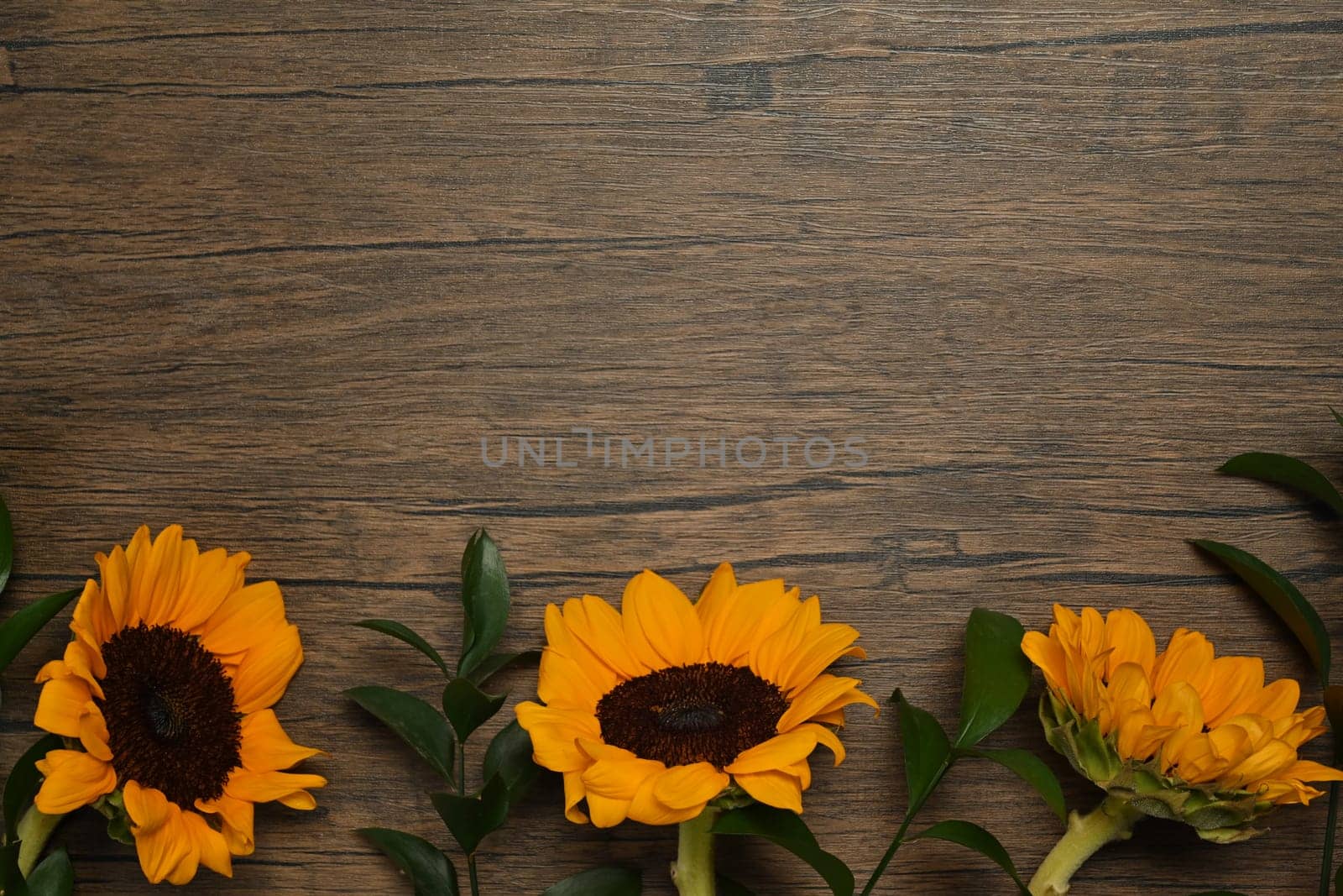 Beautiful sunflowers on rustic wooden background. Top view with copy space, floral background.