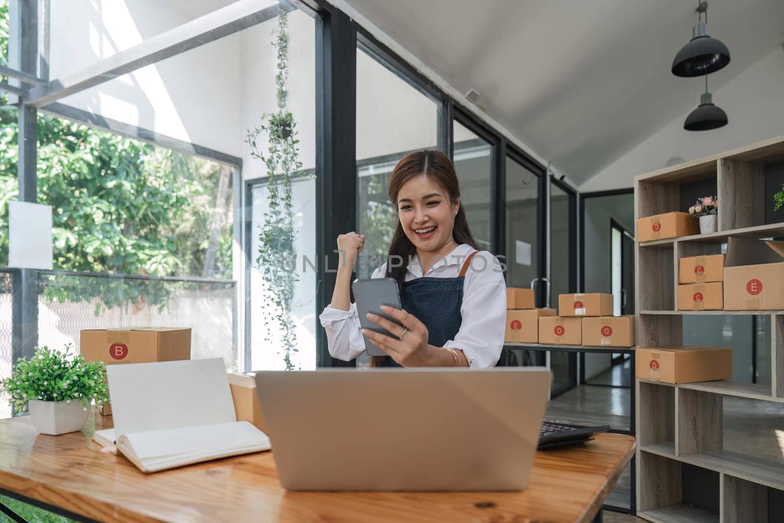 successful woman working and using telephone to selling product online her workplace.