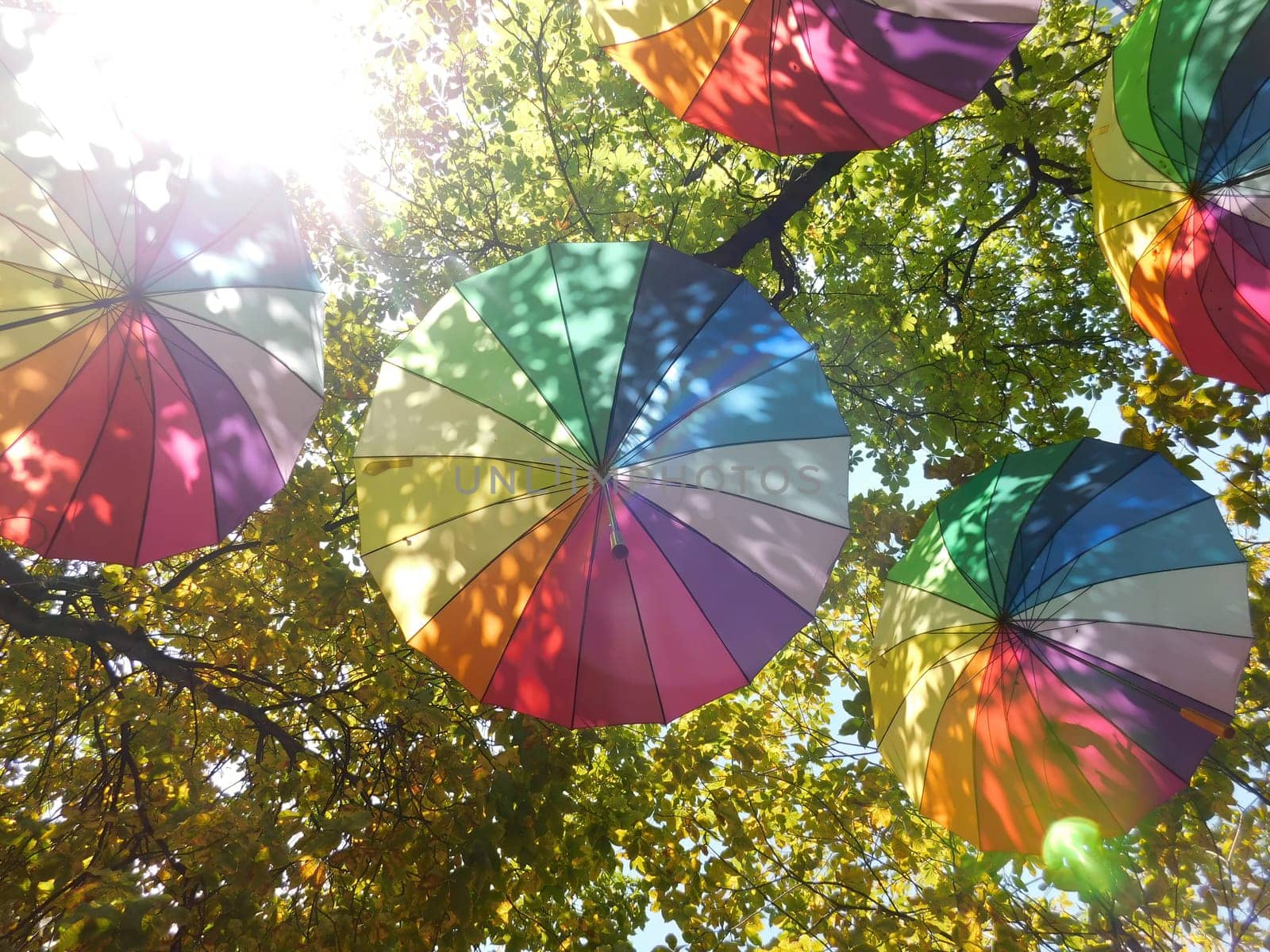 Pride rainbow umbrellas on trees background