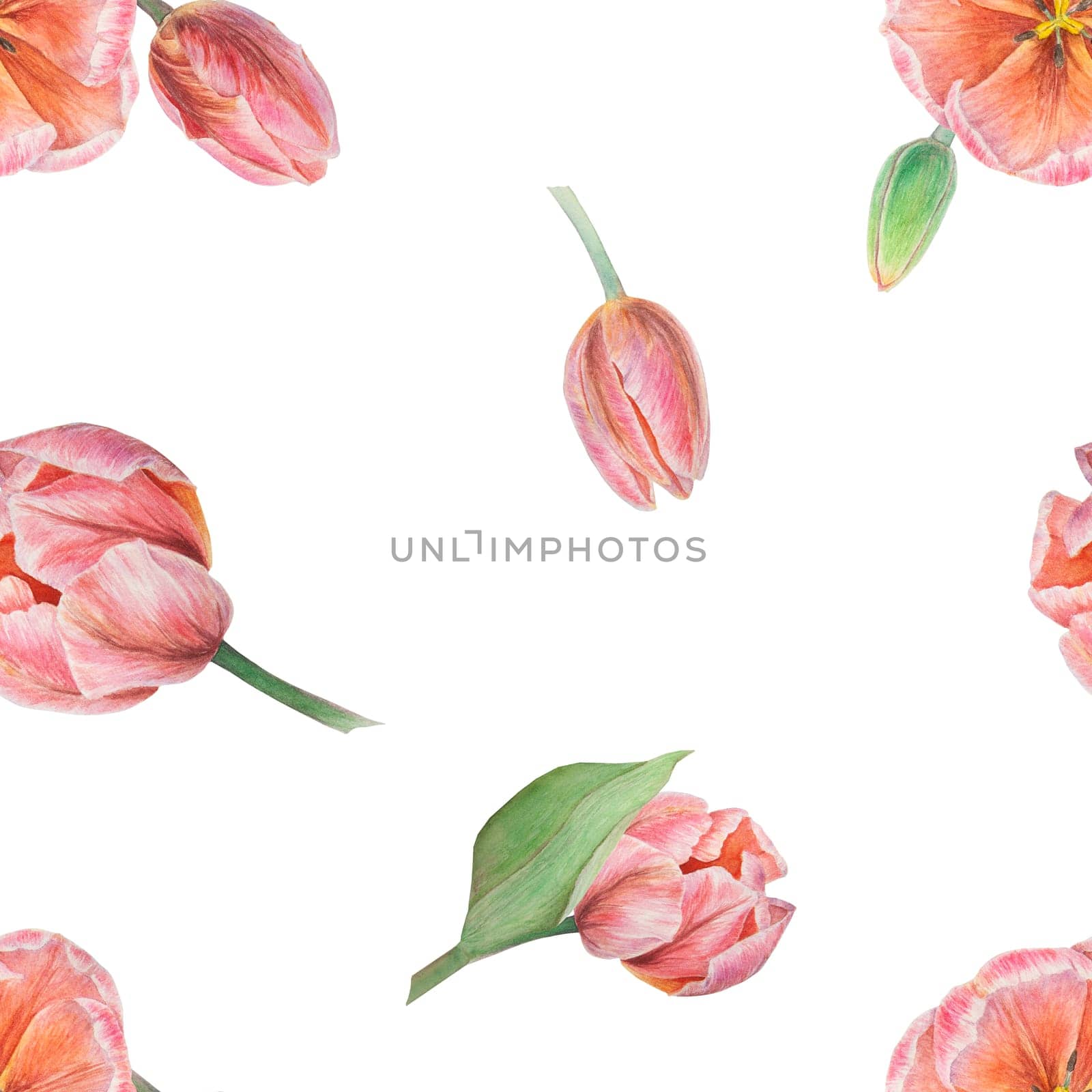 Pink tulips seamless pattern painted in watercolor, realistic botanical hand drawn illustration, background for design, wedding print products, paper, invitations, cards, fabric by florainlove_art