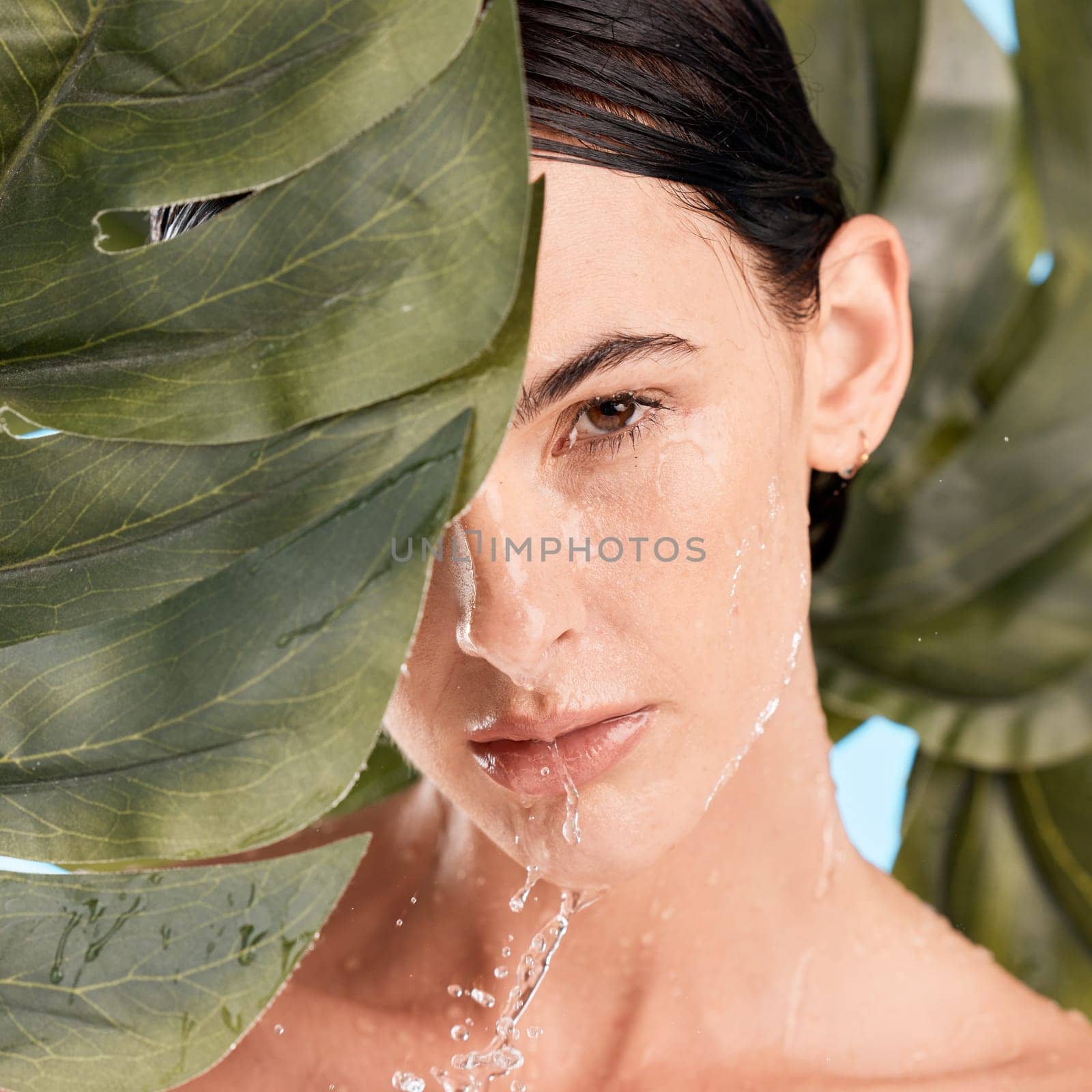 Skincare portrait and shower face with leaf for natural cosmetic washing treatment zoom. Beauty, wellness and hygiene of girl model with monstera plant and hydrated skin cleaning routine