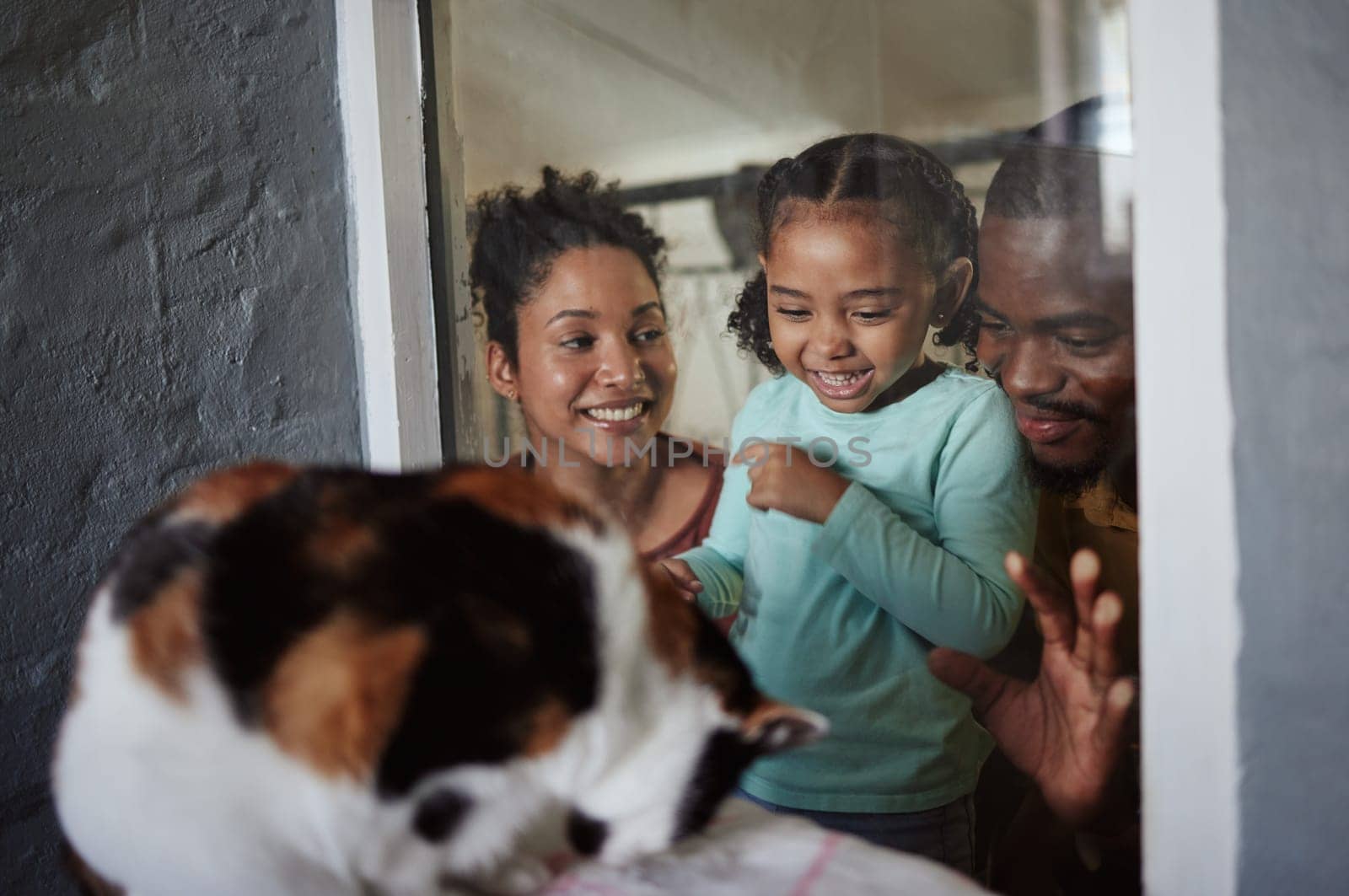 Family, animal shelter and child excited about a cat while doing volunteer or charity work with a smile and happiness of mother, girl and father. Man, woman and kid at vet window for adoption of pet.