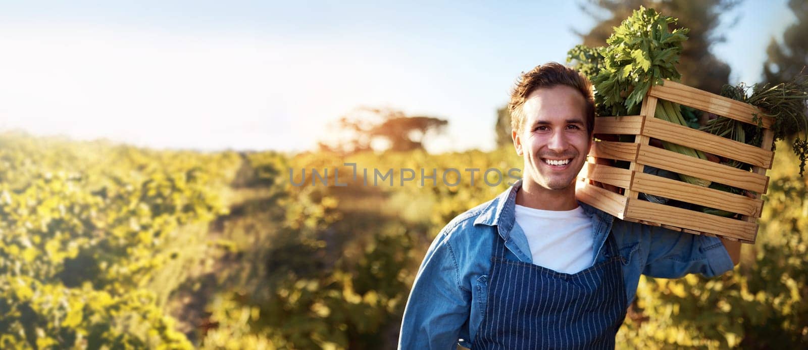 Agriculture, portrait and mockup with a farm man carrying a basket during the harvest season for sustainability. Agricultural, nature and mock up with a male farmer working outdoor in the countryside.