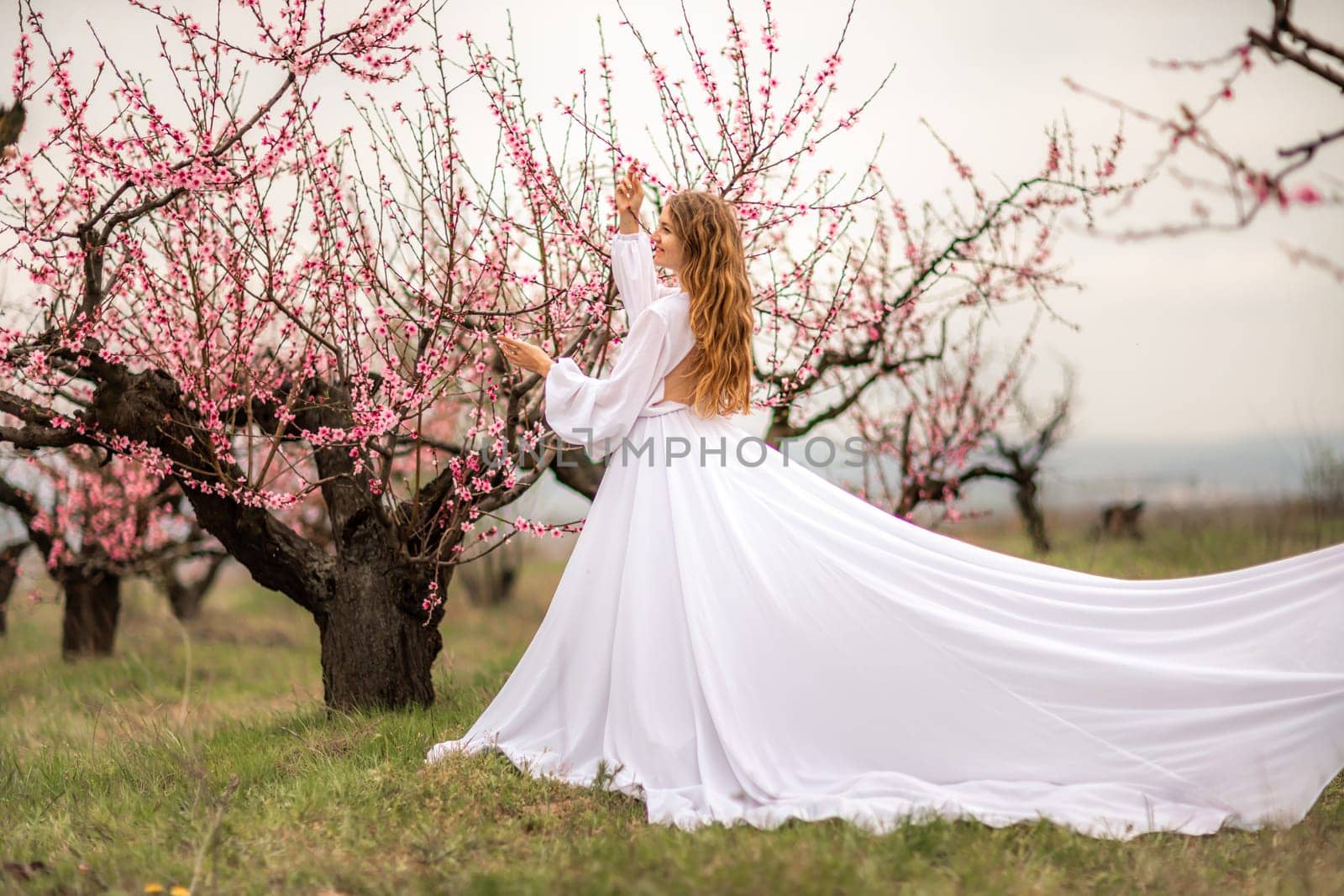 Woman peach blossom. Happy curly woman in white dress walking in the garden of blossoming peach trees in spring by Matiunina