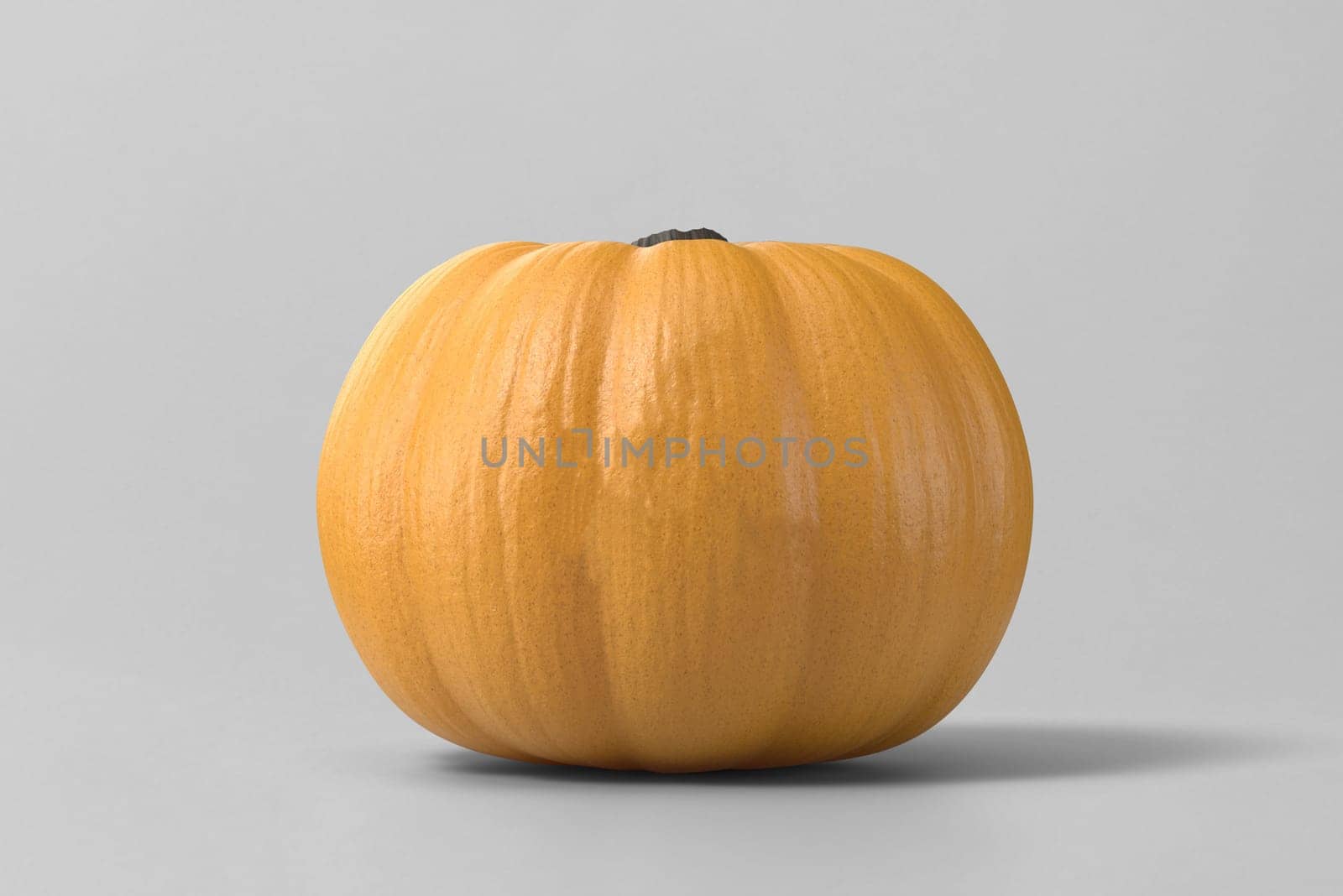A large ripe yellow pumpkin highlighted on a light gray background