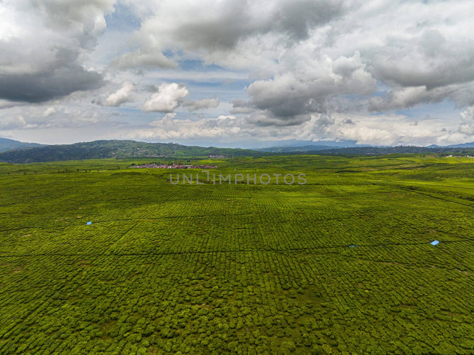 Aerial view of tea estates and farmland in Sumatra. Tea plantations. Kayu Aro, Indonesia.