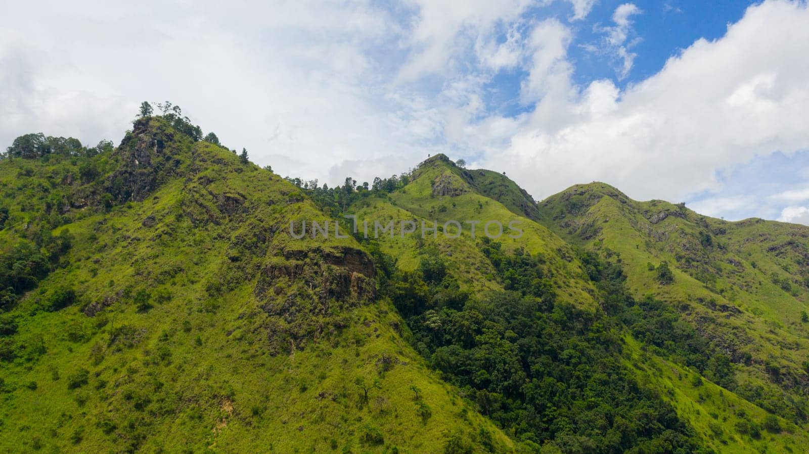 Aerial view of Fresh green foliage, tropical plants and trees covers mountains and ravine. Ella Rock, Sri Lanka.