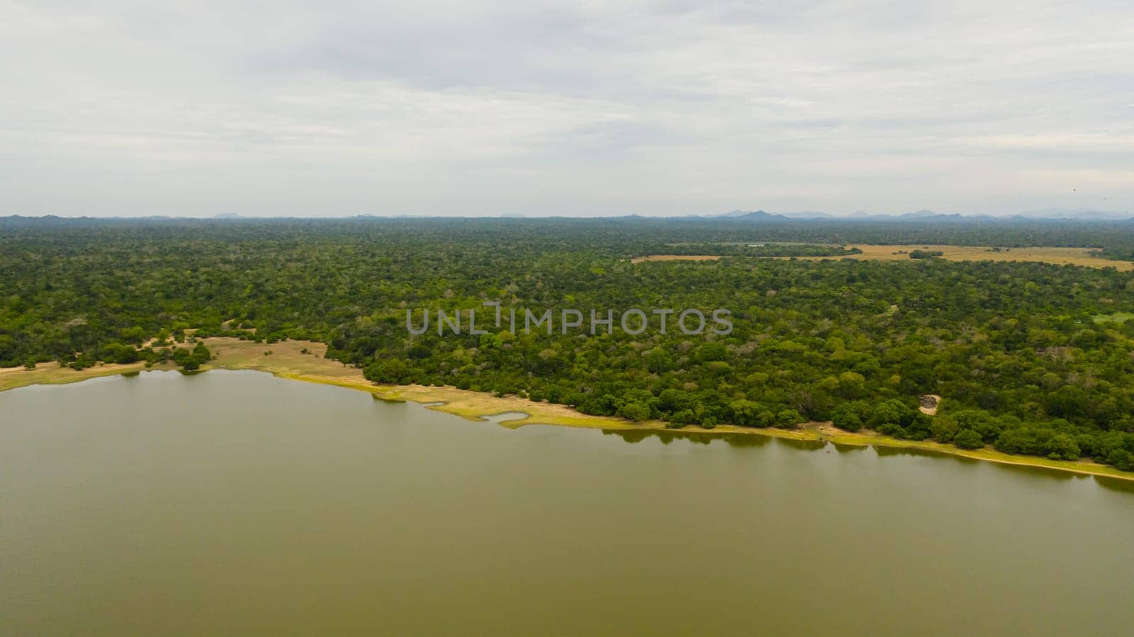 A lake among the rainforest and jungle. Panama Wewa lake in Sri Lanka. Arugam bay.