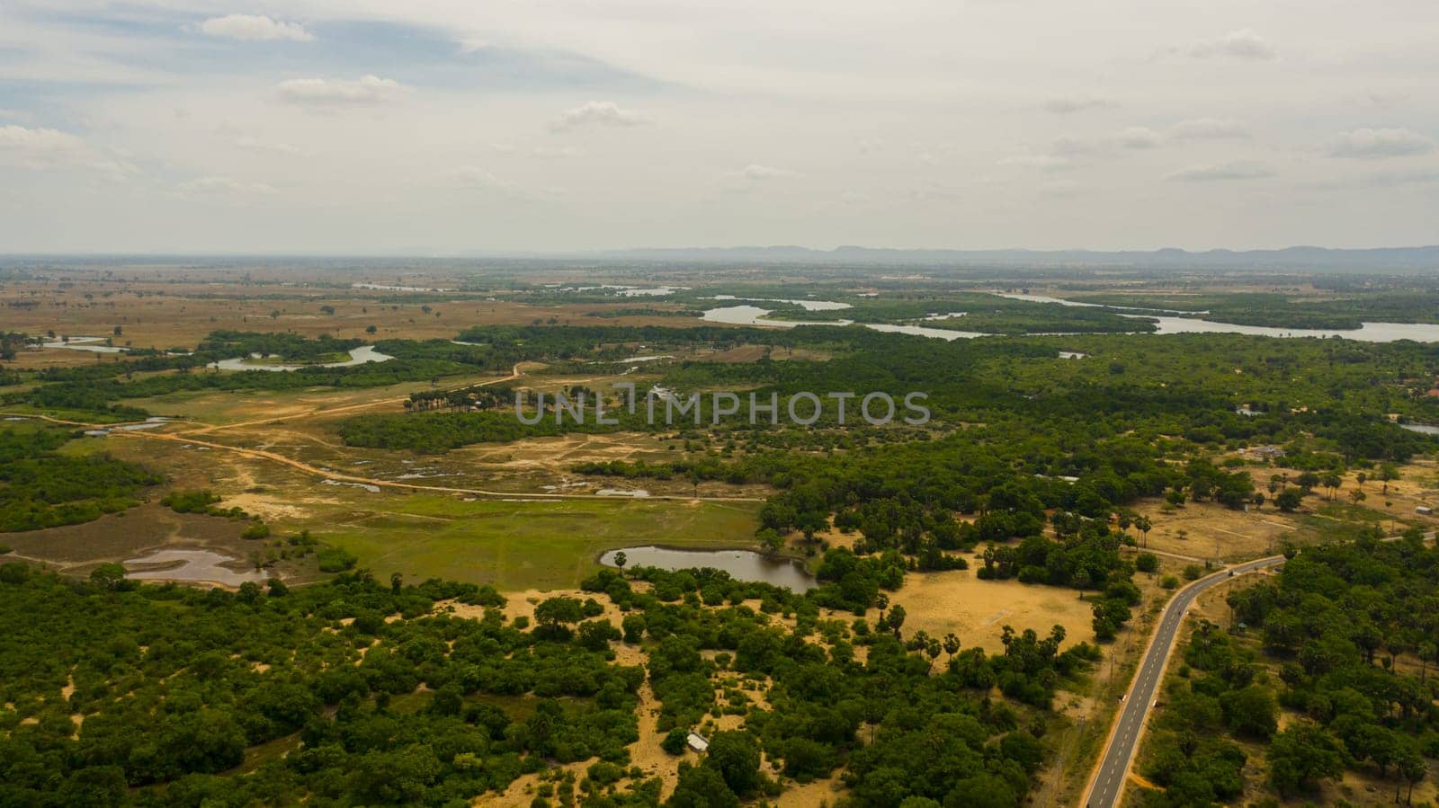 Aerial view of Agricultural land and rice fields in rural areas. Sri Lanka.