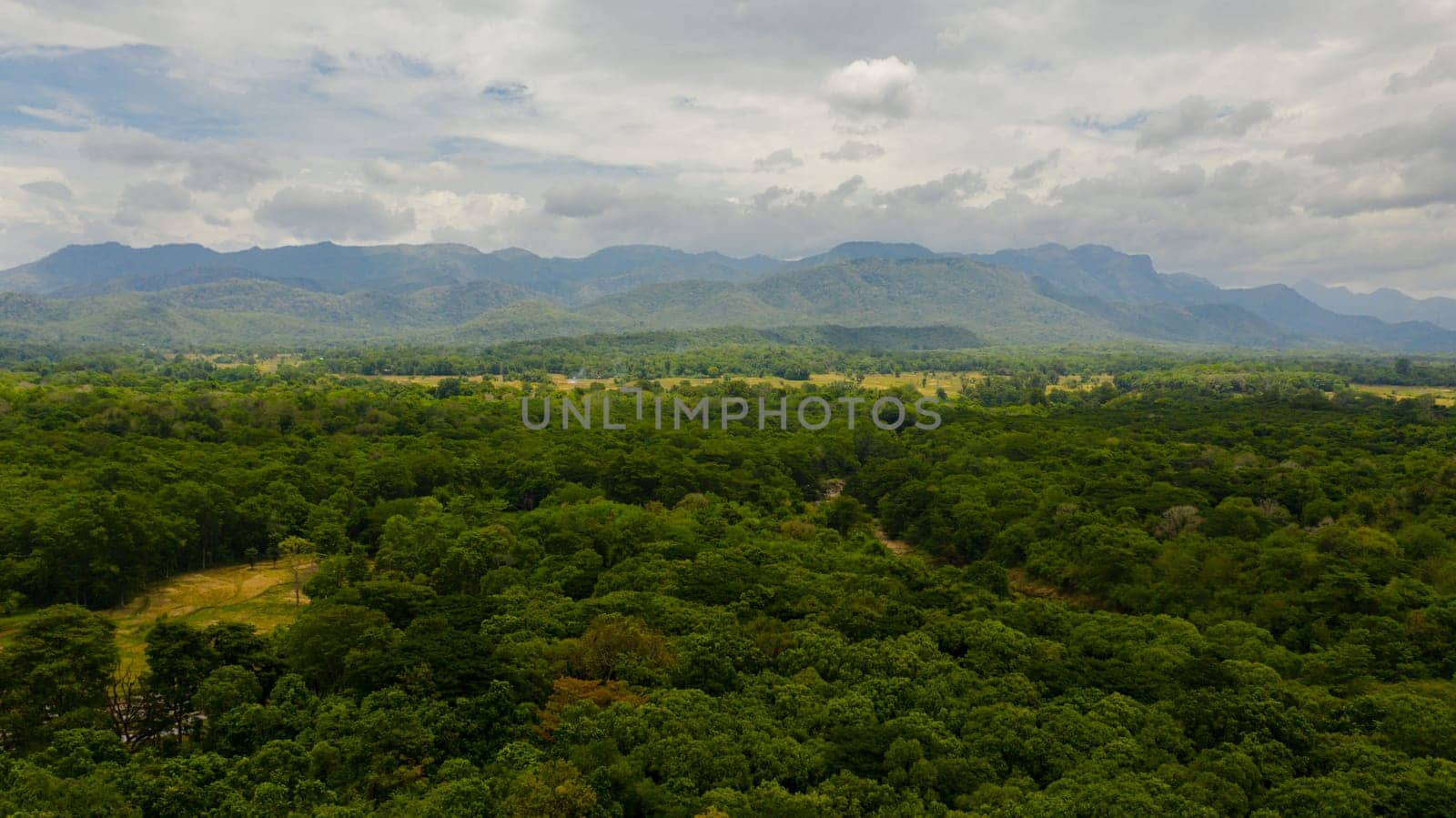 Aerial drone of Mountain slopes with rainforest and a mountain valley with farmland. Sri Lanka.