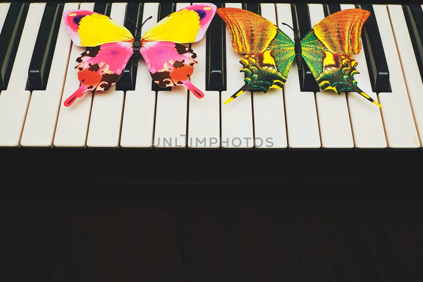 vocal or instrumental sounds or both combined in such a way as to produce beauty of form, harmony, and expression of emotion.