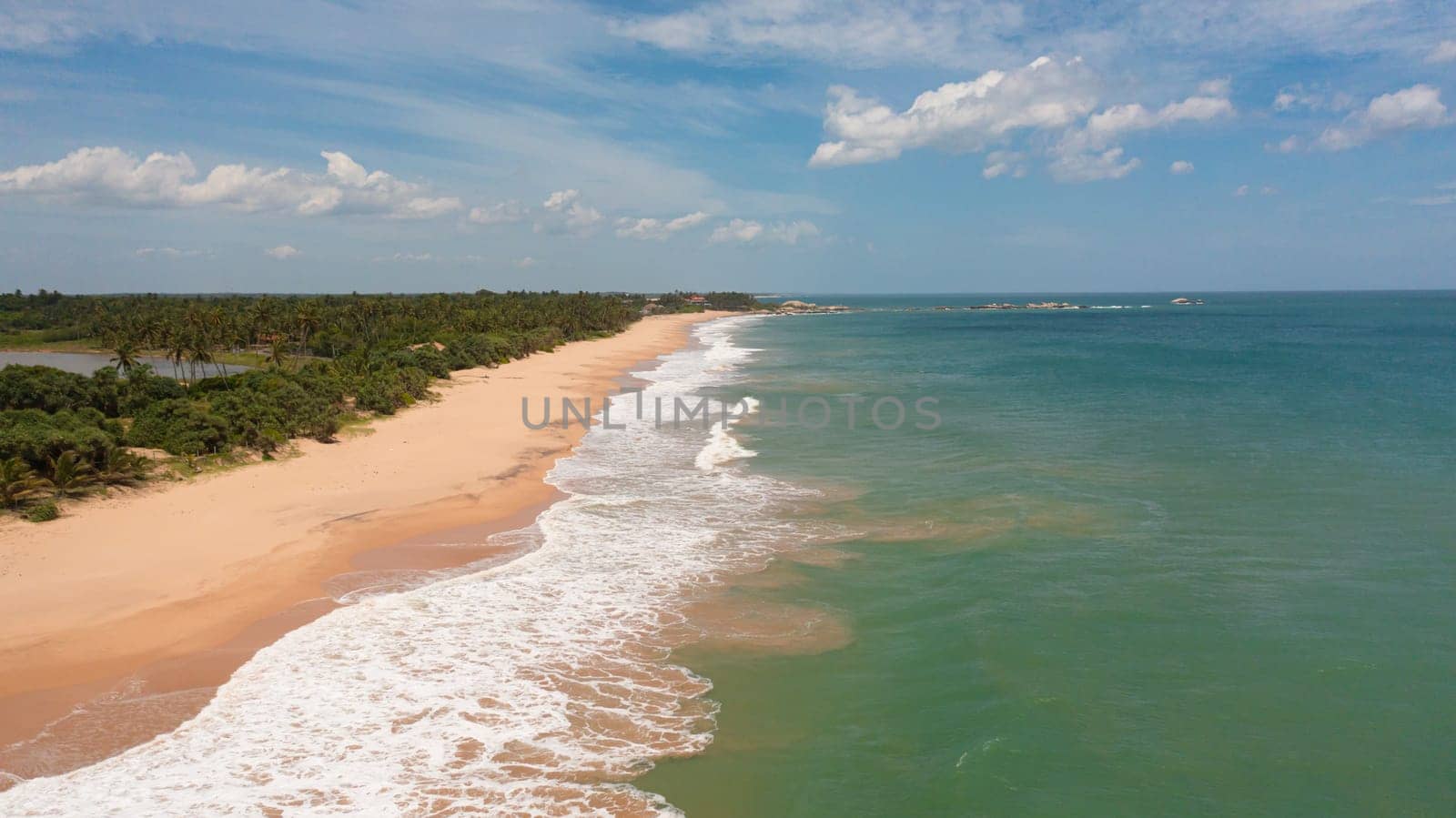 A tropical beach with palm trees and a blue ocean. Sri Lanka. Summer and travel vacation concept.
