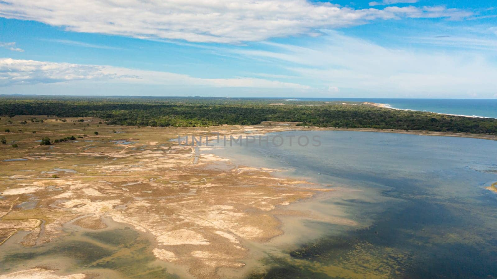 Rice fields and agricultural land near the ocean. Sri Lanka.