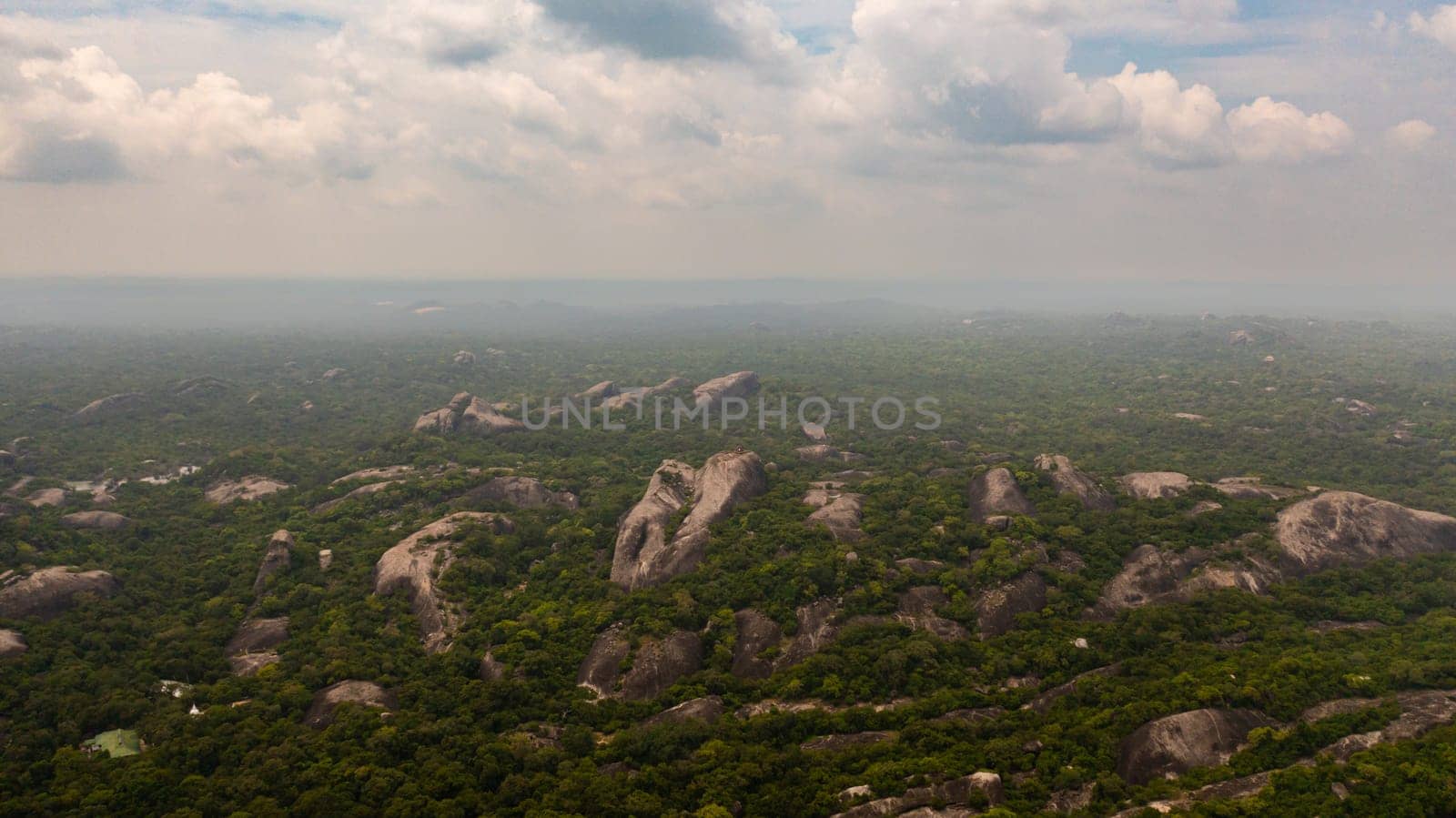 Top view of green forest with tropical vegetation and rock formations. National Park.Sri Lanka.