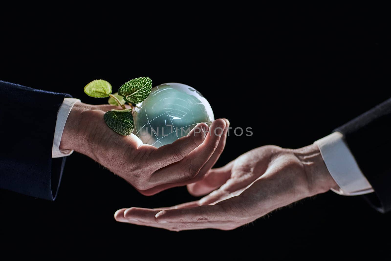 Plant growing inside sphere - Hand - Eco concept on black background
