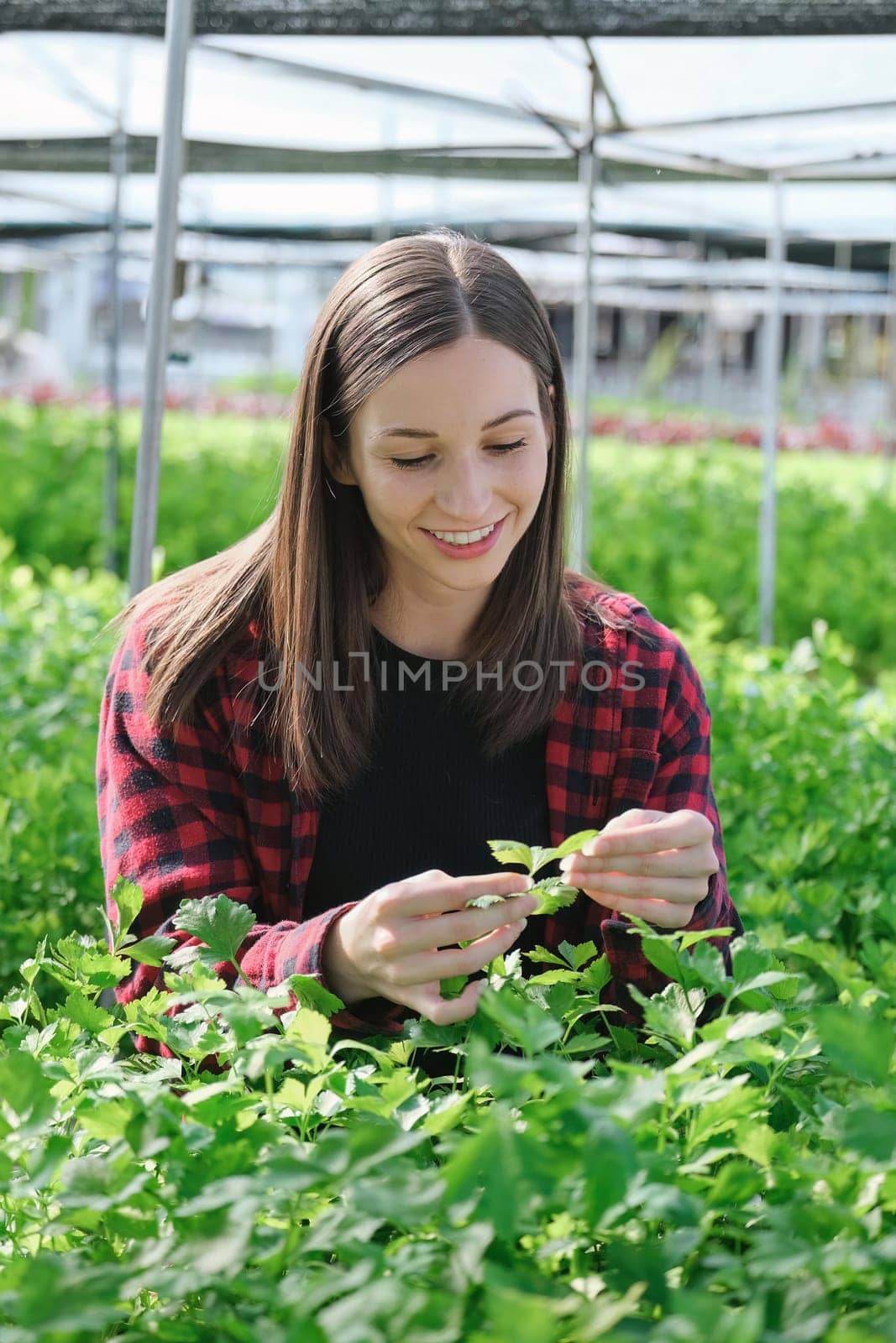 Beautiful female farm owner smiling friendly at the organic vegetable. woman farmer Taking care of vegetable with happiness in greenhouse using technology.