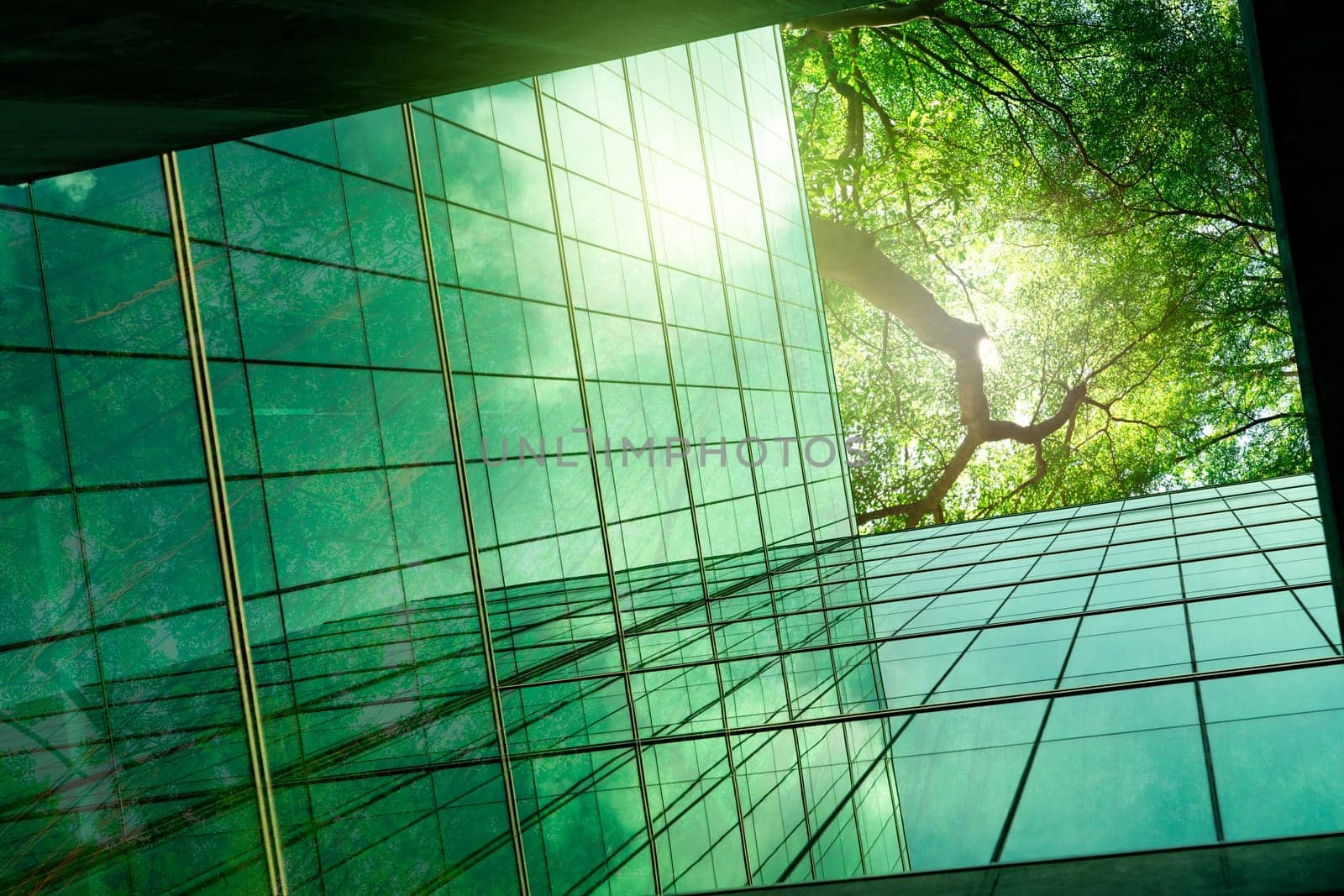Sustainble green building. Eco-friendly building in modern city. ESG. Sustainable glass office building with green tree. Office with green environment. Corporate sustainability. Net zero emission. by Fahroni