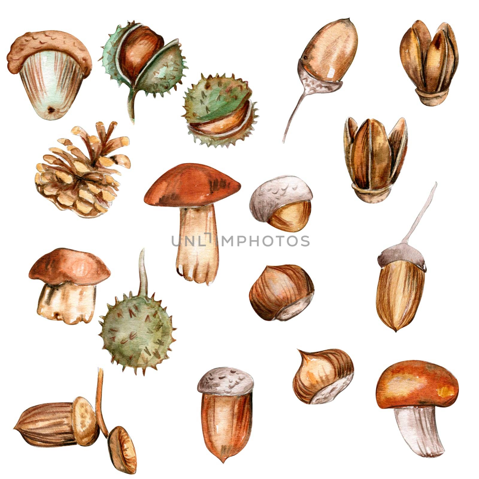 Autumn set of leaves and mushrooms. Hand drawn illustration of autumn. Perfect for scrapbooking, kids design, wedding invitation, posters, greetings cards, party decoration.