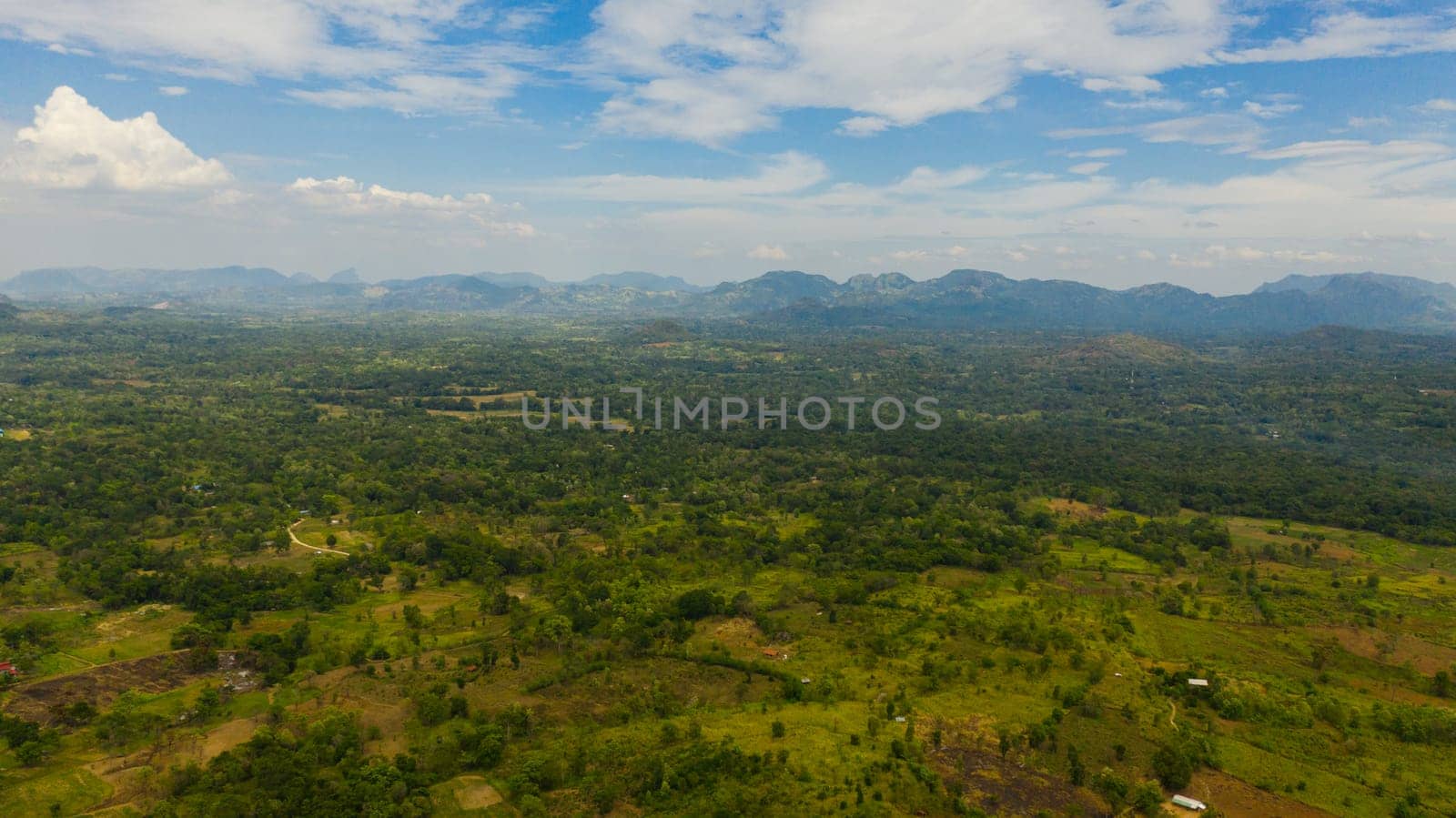 Aerial drone of Farmlands and villages in a valley among tropical vegetation and jungle. Sri Lanka.