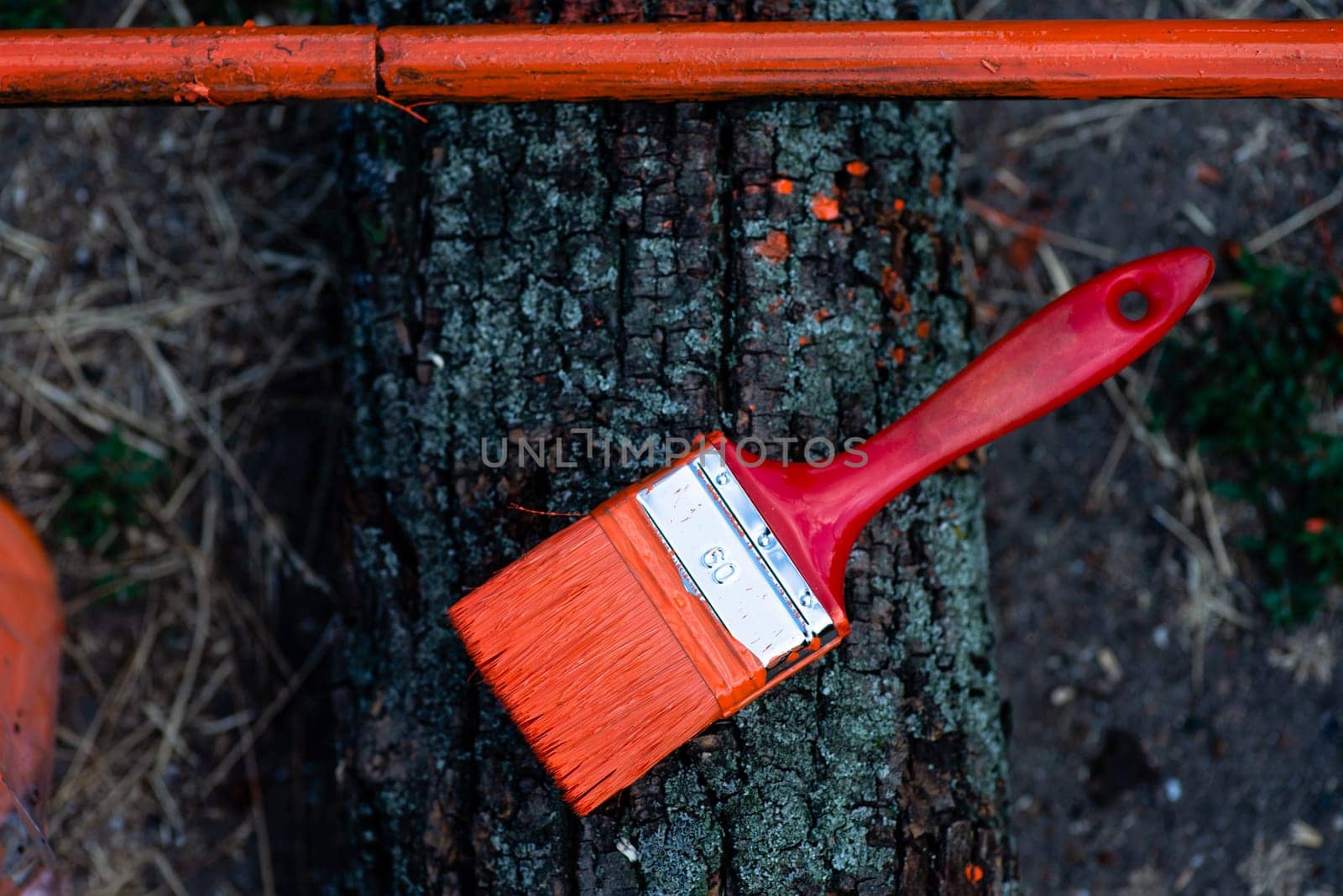 Red paint brush in orange paint. on tree bark. by Renisons