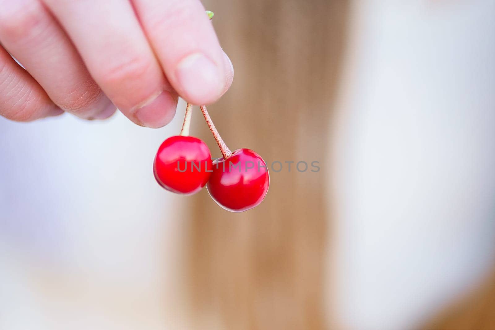 Summer time. Two cherries in female hands