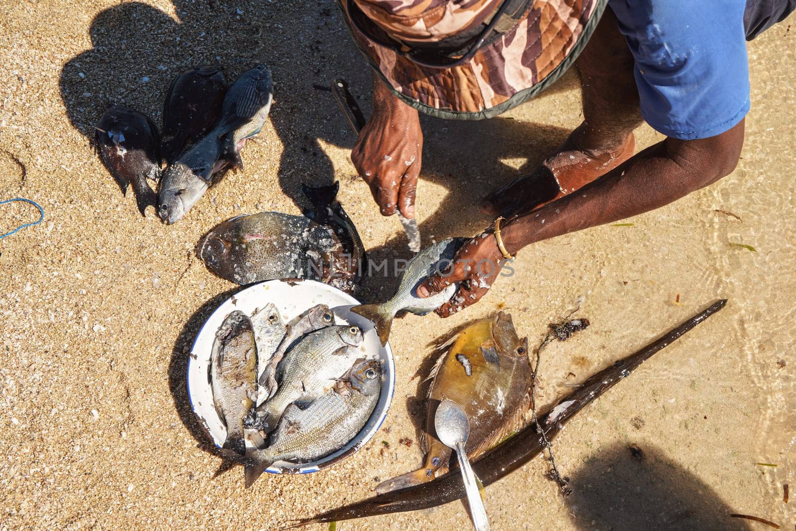 Local Malagasy fisherman cleaning freshly caught fishes on the beach, detail on hands and knife, plate with fresh catch near.