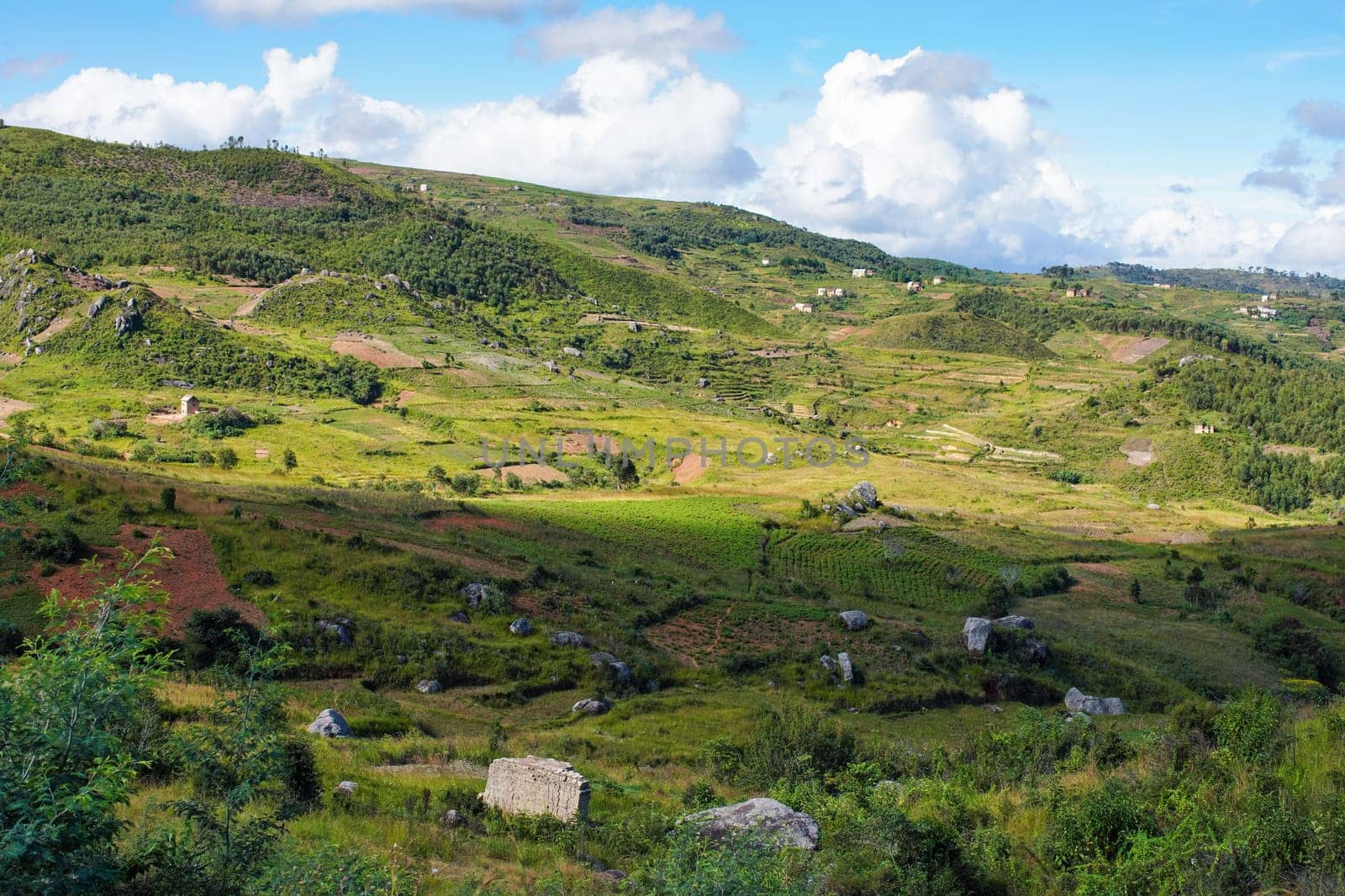 Typical Madagascar landscape - green and yellow rice terrace fields on small hills with clay houses in region near Vohiposa.